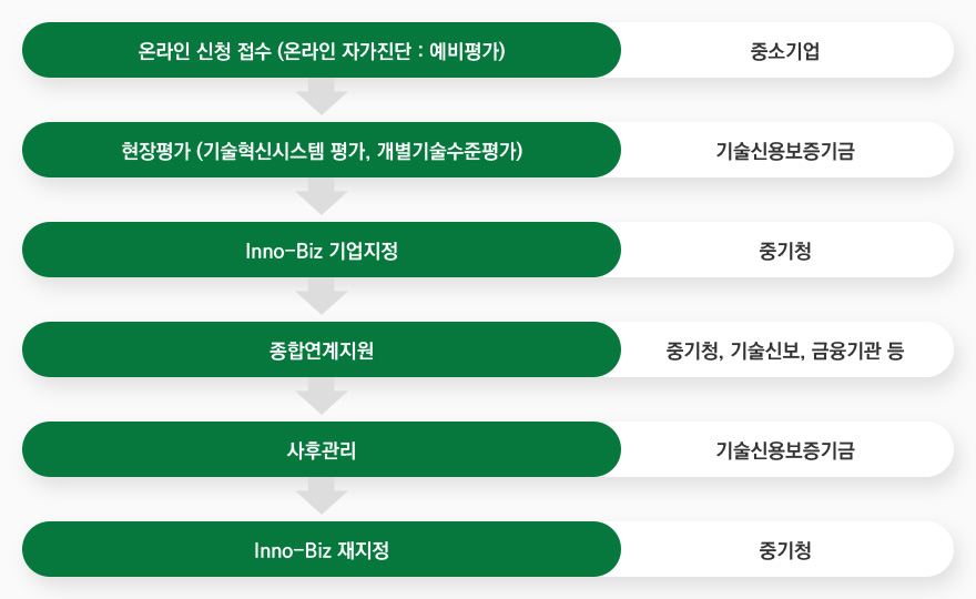 온라인 신청 접수 > 현장평가 > Inno-Biz 기업지정 > 종합연계지원 > 사후관리 > Inno-Biz 재지정 육성추진체계 이미지